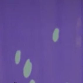 kobittchi_z02's profile picture. さよーならまたいつか🎦 🎭⛸🫧🐿️🐱