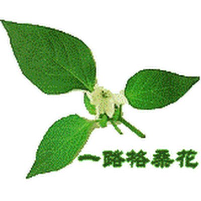 idol_wmb's profile picture. 