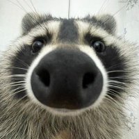 ππͺπππ cs: (@httpsluigi_) 's Twitter Profile