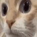 coolgouwithhat (@coolguywithhat_) Twitter profile photo coolgouwithhat (@coolguywithhat_) Twitter profile photo