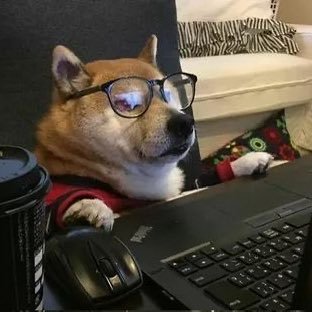 meIfiori's profile picture. Life’s a bitch and I’m a dog person: socially inept emotionally adept