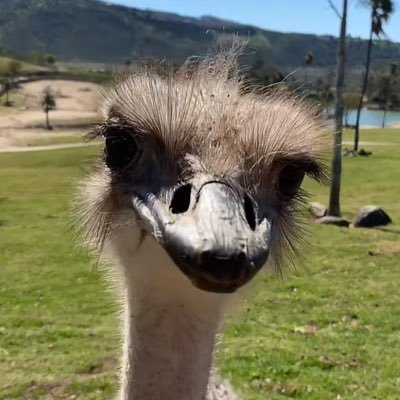 Kelpman16's profile picture. 