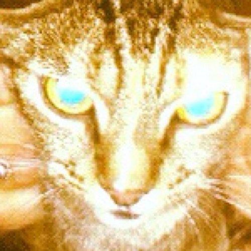 SirkkaTamminen's profile picture. 