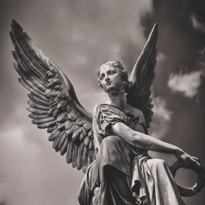 vizualprt's profile image
