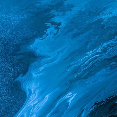 crypto20292039's profile picture. 