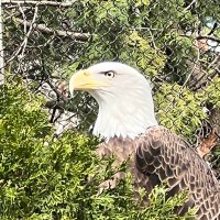 America First !🇺🇸 (@vaughanjay33) 's Twitter Profile