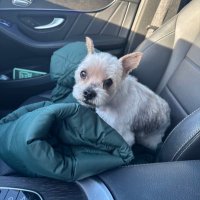 Code Parm (@edalparm) 's Twitter Profile