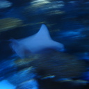 Archie Wren - @ArchieWren - Twitter