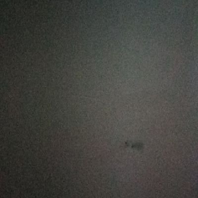 HProject60487's profile picture. 