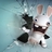 jwmbladder's profile image