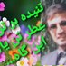 🌲 مُـعزغوری Mueiz Ghori 🌲 (@mohammadzaaimy) Twitter profile photo 🌲 مُـعزغوری Mueiz Ghori 🌲 (@mohammadzaaimy) Twitter profile photo