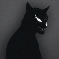 Sanctuary (@crypt_sanctuary) 's Twitter Profile