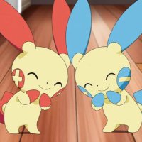 ﾌﾟ~㌦ (@tenten1o_) 's Twitter Profile Photo