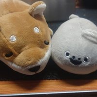 星流🎼@しばたん🐶 (@tsuki_mucuu) 's Twitter Profile
