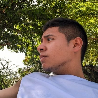 PedroVi67342552's profile picture. Estudiante de Antropología - UNAL. Araucano.