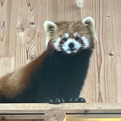 フラハルさんのプロフィール画像