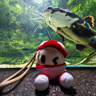 kisonlee's profile picture. Engineer of @Li_Auto_, Previously @Xiaomi