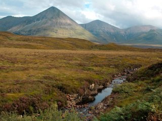 lukesile's profile picture. Avvocato, pescatore con la passione per l'Inter e mia figlia/meraviglia