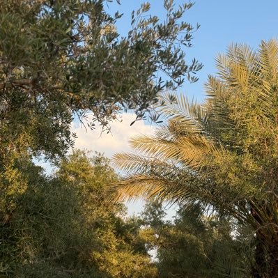 E70MM's profile picture. ليس كل ما تقرأه في حسابي من كتاباتي ✍🏼البعض أو الكثير منها مقتبس من يلفتني كتاباته وتعتبر إضافه قويه لحصيلتي الثقافيه 📚