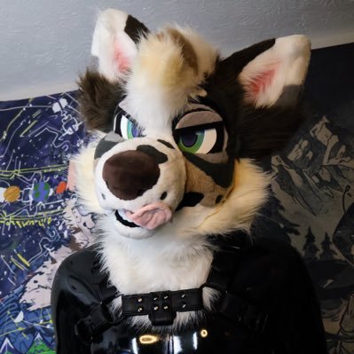 also known as Halite | 26 they/he, ΘΔ lewd lynx/fox 👀 the AD account of @AbraHeron | @wataugas_hole is my bitch | 18 + only follows | nb, pan, verse, open