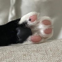 TK (@_t293) 's Twitter Profile