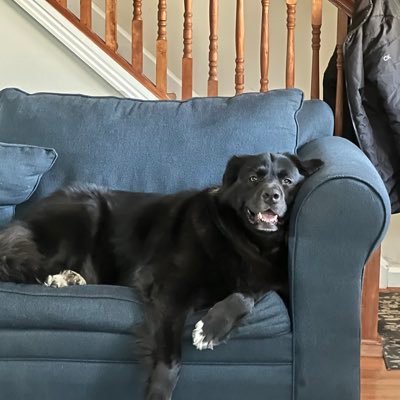 RavKinect's profile picture. The one and only, grabba enthusiast