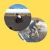Akin👩🦽🚵♀️ (@akkkkyy227621) Twitter profile photo Akin👩🦽🚵♀️ (@akkkkyy227621) Twitter profile photo