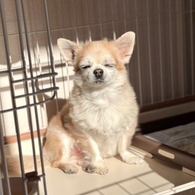 kamaren_ui's profile picture. 📚 BONO / Figma / UI/UXデザイン / Flutter