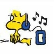 wokewoodstock's profile picture. lover of woodstock and woodstock