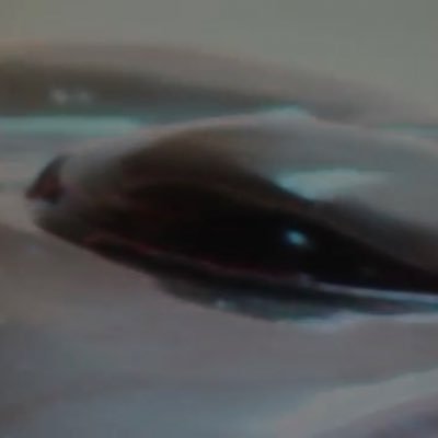 zhanzhengxun2's profile picture. 