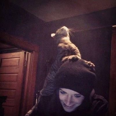 umbrasat666's profile picture. ||she/they