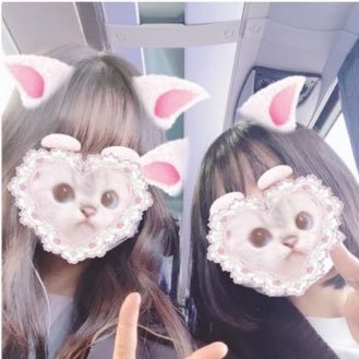 い ち ご 。さんのプロフィール画像