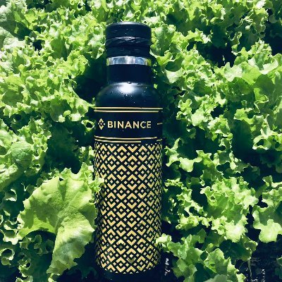 Ultron2102's profile picture. @Binance