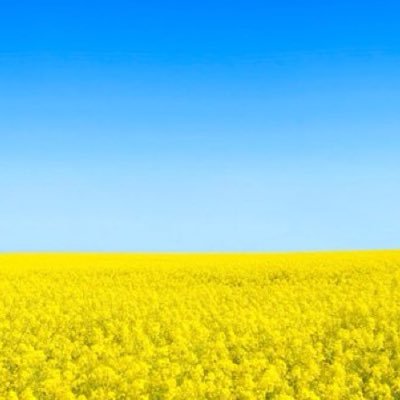 KarpMarion's profile picture. BVB-Fan, Nazi-Hasserin, Hundeliebhaberin