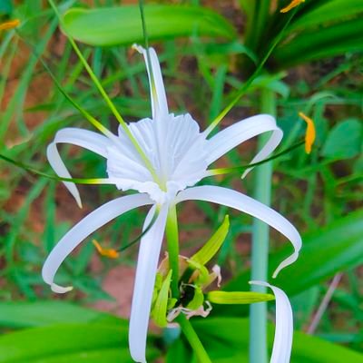 ramesh_atal_'s profile picture. Jaipur 📍