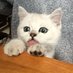 yaobo (@xyaobo) Twitter profile photo yaobo (@xyaobo) Twitter profile photo