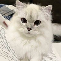 Dr. Lunar (@drlunar_k) 's Twitter Profile Photo Dr. Lunar (@drlunar_k) 's Twitter Profile Photo