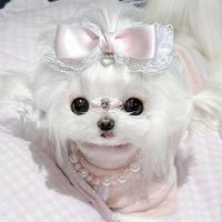 𝒖🎀✩ (@x_u3k) 's Twitter Profile