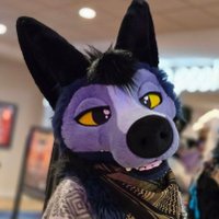 howlite coyote (@howlite_coyote) 's Twitter Profile Photo howlite coyote (@howlite_coyote) 's Twitter Profile Photo