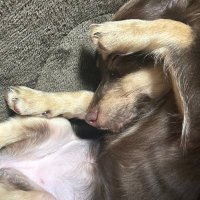 ミキ (@tmsmt___5) 's Twitter Profile