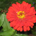 Ann Keys - @ClemsonDreamer - Twitter