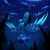 SpedaHooves {NSFW} (@moxxiethe_imp) Twitter profile photo SpedaHooves {NSFW} (@moxxiethe_imp) Twitter profile photo