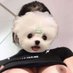 Moji jaug (@mojijung33) Twitter profile photo Moji jaug (@mojijung33) Twitter profile photo