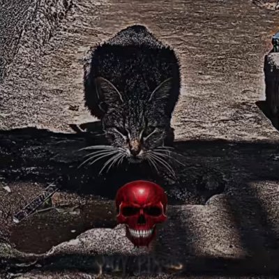 Jbfam191's profile picture. #god-love-u-an-me