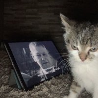 0cto (@0cto238500) 's Twitter Profile