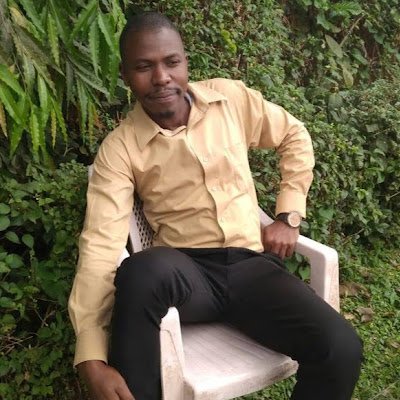 An Accountant, I.T Personnel, Statistician, Data analyst, Planner, and an Activist.