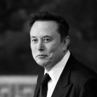 Elon 𝕏 (@elon_074) 's Twitter Profile