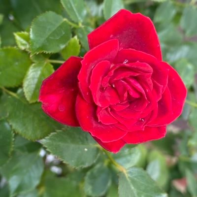 NDE2003's profile picture. 