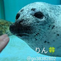 りん🍀 (@go38382802) 's Twitter Profile