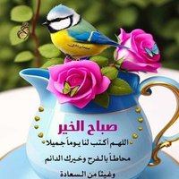 adams (@adamsadams10000) 's Twitter Profile